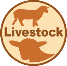 Livestock for sale