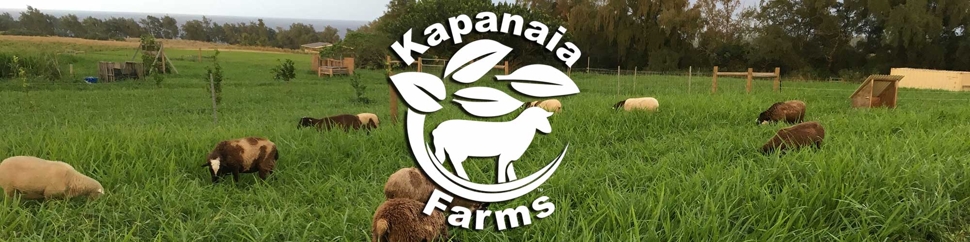 Kapanaia Farms